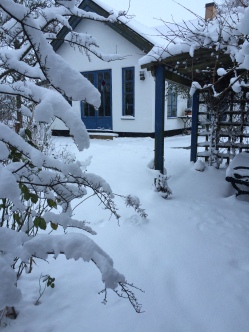 Snö i januari -16